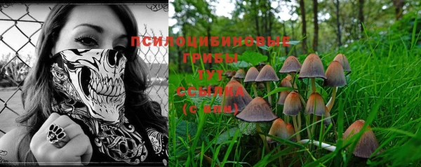 молекула духа Алзамай