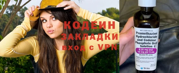 молекула духа Алзамай