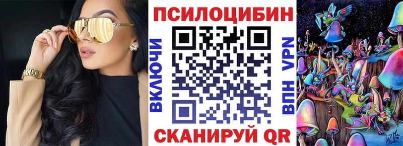 Псилоцибиновые грибы Psilocybe Багратионовск