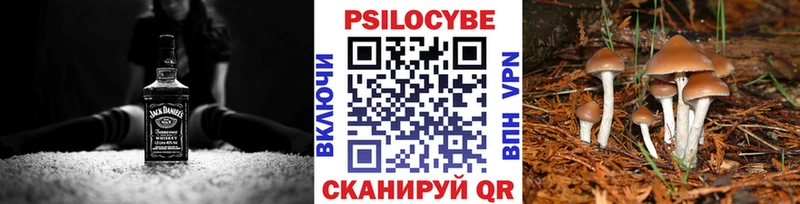 Галлюциногенные грибы мицелий  Багратионовск 